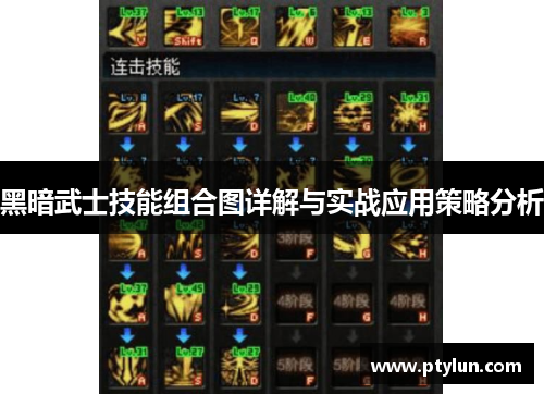 黑暗武士技能组合图详解与实战应用策略分析